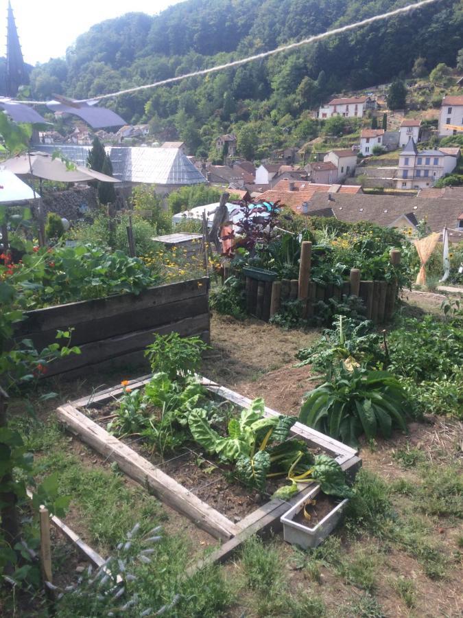 Résidence Maison Blanche Plombières-les-Bains Esterno foto